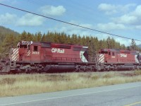 I believe that I was traveling north from the border crossing @ Kingsgate BC when I took this photograph. This stretch of BC highway #3 was close to the CP tracks, & as the train approached me I had time to stop & photograph it. I made quite a few work related trips to Kinsgate, but this is the only photograph I took at that location. 