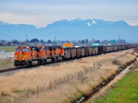 BNSF nos.4443,4616 & 5153 are in charge of a U.S. coal train as it approaches Roberts Bank for shipment overseas.