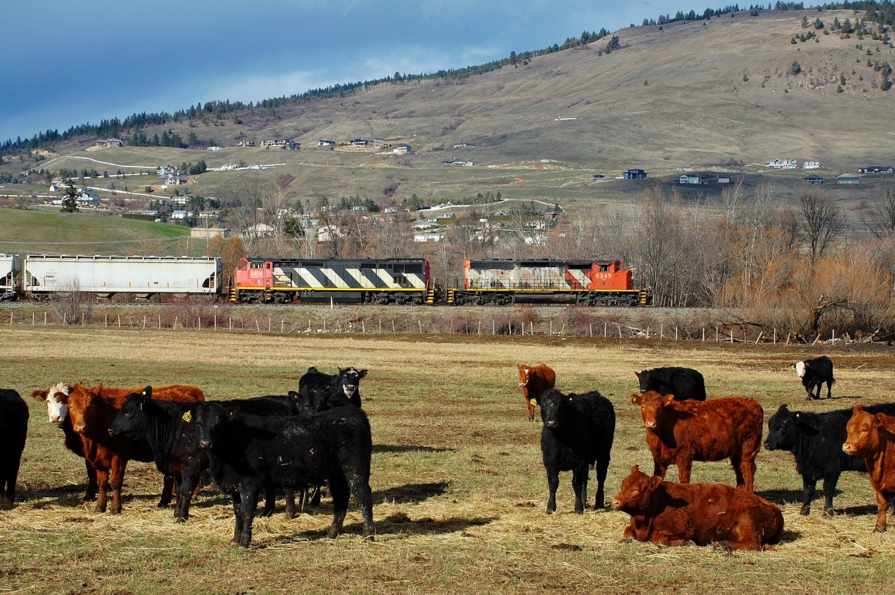 CN nos.5245 & 2414 are passing the Coldstream Ranch as they east on the Lumby sub. with a load of empties.