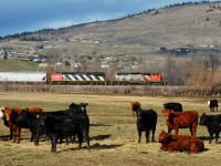 CN nos.5245 & 2414 are passing the Coldstream Ranch as they east on the Lumby sub. with a load of empties.