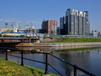 <b>Dandelion season.</b> VIA 918 pushes VIA 63 past the Peel Basin. On the south side of the basin dandelions are in bloom on a gorgeous morning.