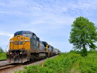 <b>Finally, some green stuff.</b> After a very dry May with almost no plants blooming, southern Quebec finally has a lot of green stuff sprouting all around. Herewo CSXT Dash8-40CW's (CSXT 7808 & CSXT 7884) in two different paint schemes lead a short CN 327 (292 axles) past a tree as it approaches the junction point of Coteau where it will leave the Kingston Sub for the Valleyfield Sub.
