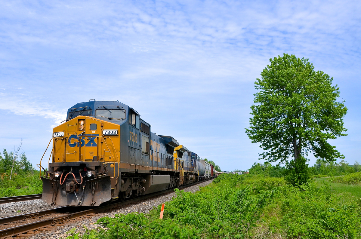 Finally, some green stuff. After a very dry May with almost no plants blooming, southern Quebec finally has a lot of green stuff sprouting all around. Herewo CSXT Dash8-40CW's (CSXT 7808 & CSXT 7884) in two different paint schemes lead a short CN 327 (292 axles) past a tree as it approaches the junction point of Coteau where it will leave the Kingston Sub for the Valleyfield Sub.