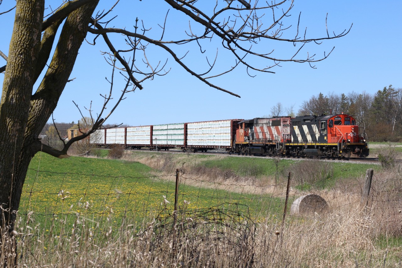 Spring is slowly beginning to show its colours as local 551 passes the still mainly dormant landscape at Tansley. Somewhat unique GP9RM 4138 still sporting a very worn AR Illinois nose logo left over from a movie shoot years ago is in the lead, even more interesting is the fact that it is now equipped for remote control operation, which is not rare for CN GP9s but is for the 4100 series road switcher units.