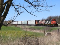 Spring is slowly beginning to show its colours as local 551 passes the still mainly dormant landscape at Tansley. Somewhat unique GP9RM 4138 still sporting a very worn AR Illinois nose logo left over from a movie shoot years ago is in the lead, even more interesting is the fact that it is now equipped for remote control operation, which is not rare for CN GP9s but is for the 4100 series road switcher units.