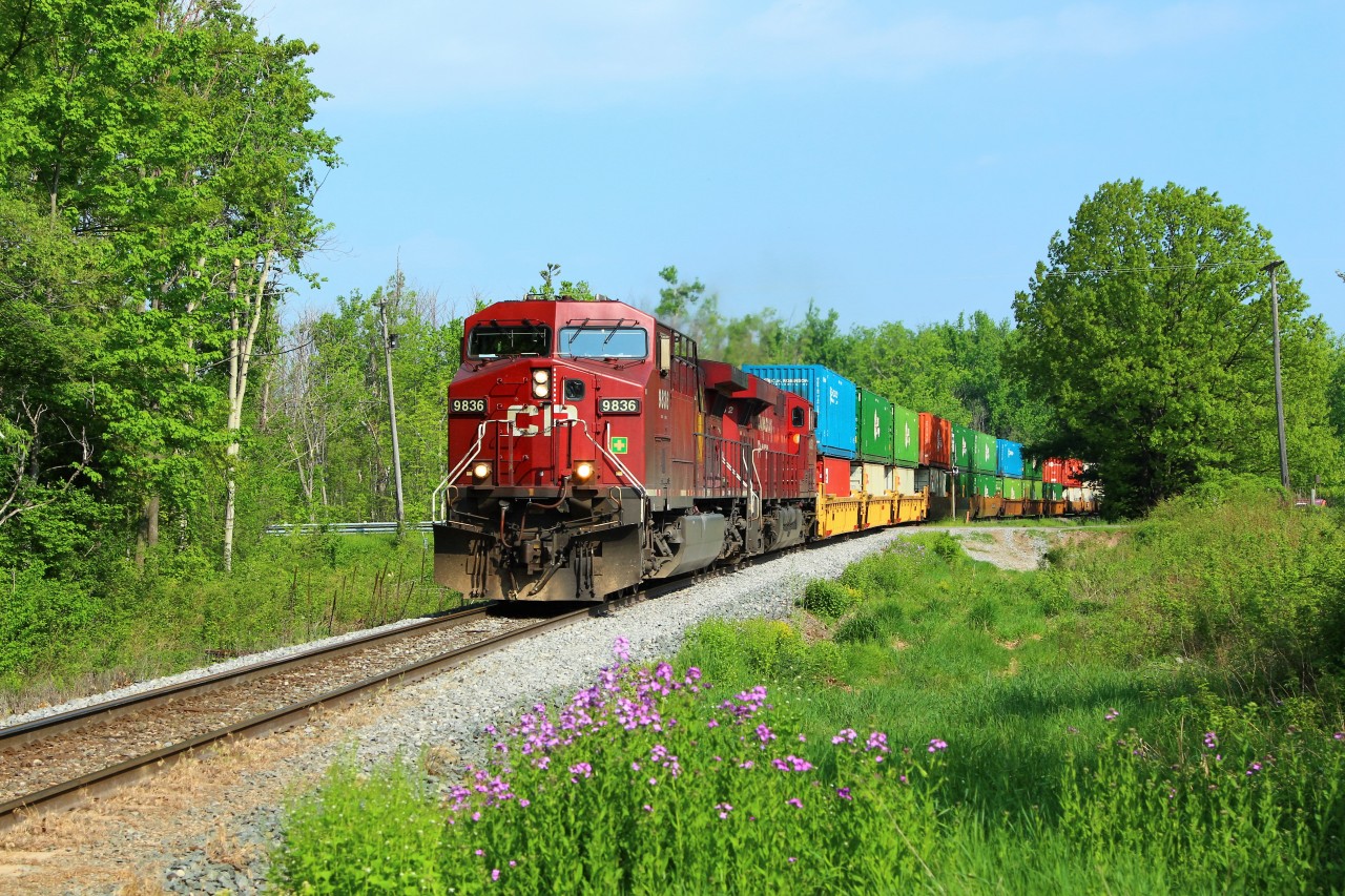 CP 9836 leads CP 9352 down the Hamilton Sub with its near 7600 foot container train as it crosses the 7th Concession at MM 68.9.