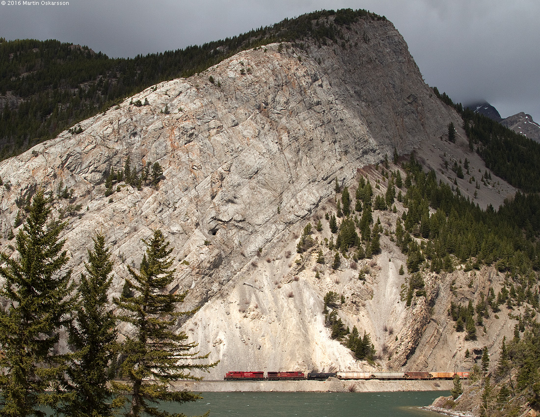 Westbound train 469-12 rolls along Crowsnest Lake in the early afternoon.