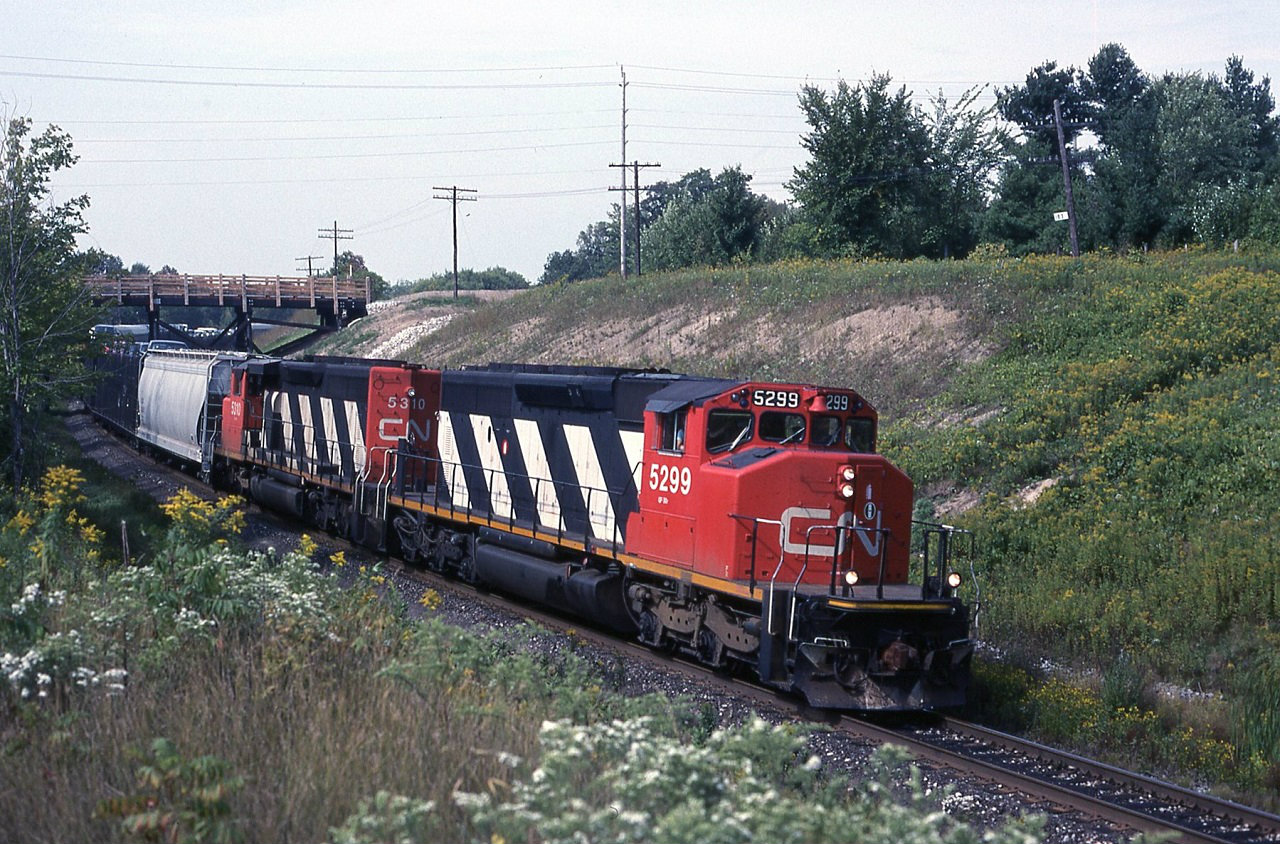 Detour train CN 308 with SD40-2,s 5299 and 5308 duck under Salem road at mile 183 on the CP,s Belleville sub. A wreck on the CN was the cause for detouring trains. This didn't last long because CP could not handle the number of trains CN wanted to run. CN gave up after only a few trains and waited for there track to reopen.