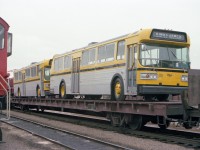 Once upon a time the railroads could...and would.... deliver almost anything by train. A good example is Hamilton's order of new Flyer buses; two on a flatcar waiting to be unloaded down at Stuart St yard quite a few years ago.