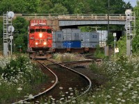 A solo SD60F leads this stack train through the weeds and wildflowers of Washago at the junction with the Newmarket Sub (north) on a hot summer day going on 8 years ago.