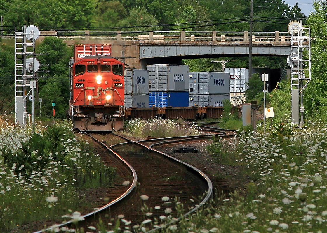 A solo SD60F leads this stack train through the weeds and wildflowers of Washago at the junction with the Newmarket Sub (north) on a hot summer day going on 8 years ago.