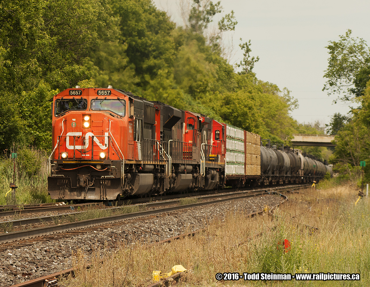 HOT, HAZY, HUMID... and with the hammer down! As it passes me at the old station site, CN 5657 (and two other units) leads this mostly tank car revenue freight up the Niagara Escarpment accelerating as it continues to all points west.