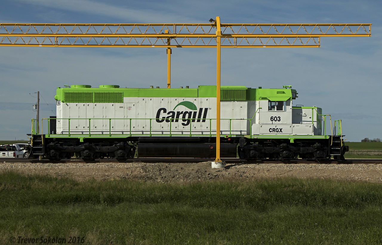 An ex. Penn Central SD38 now works for Cargill at the company's Davidson SK elevator. One of the sharpest looking industrial paint schemes around in my opinion!