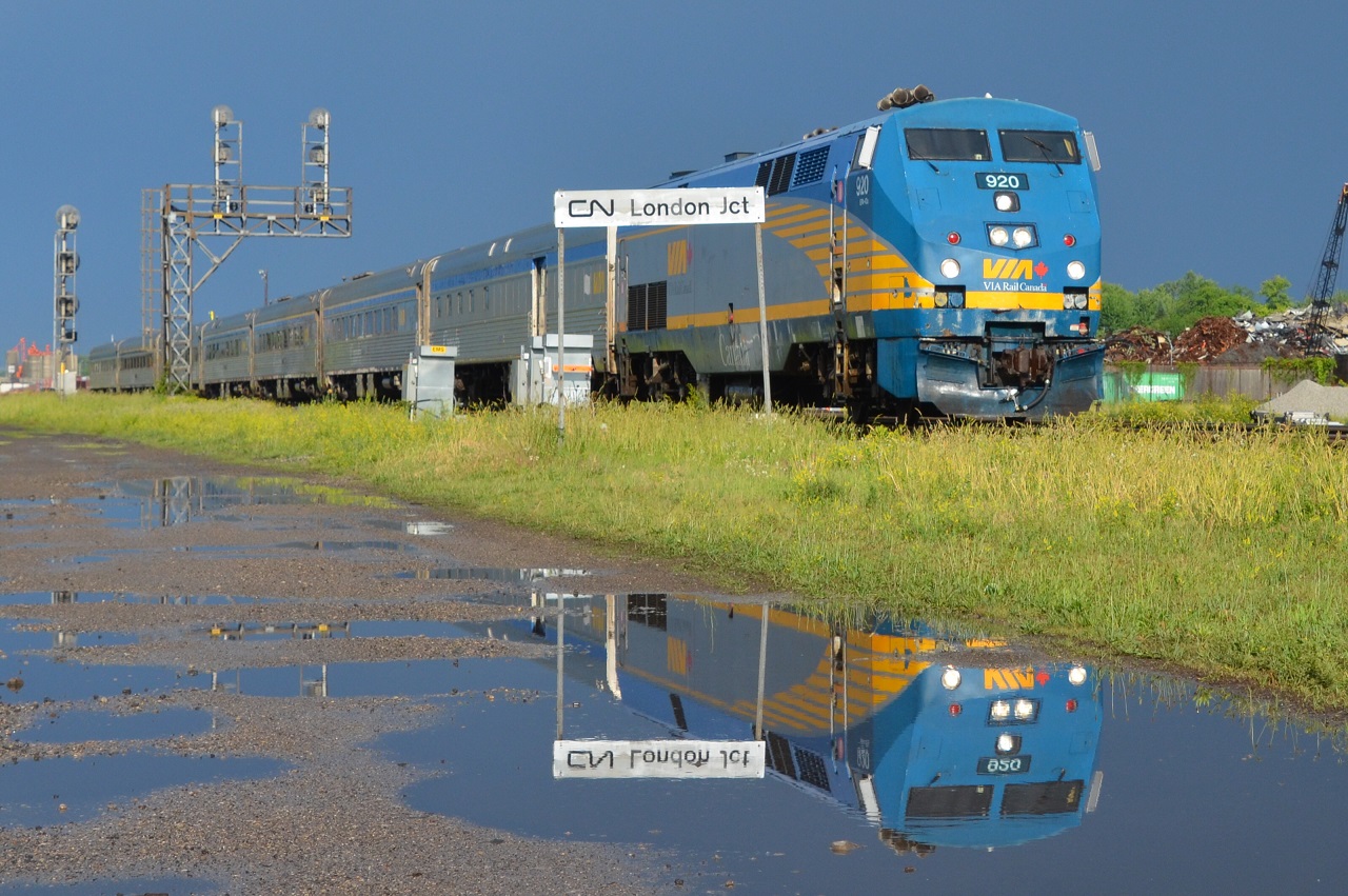 After a massive storm and downpour, a brief period of sun brought out beautiful storm light!