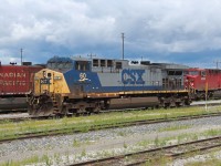 Here is another colorful paint scheme that is slowly disappearing from the rail scene. This AC4400 built in 1995 will probably be repainted in CSX's "Dark Future" scheme soon.