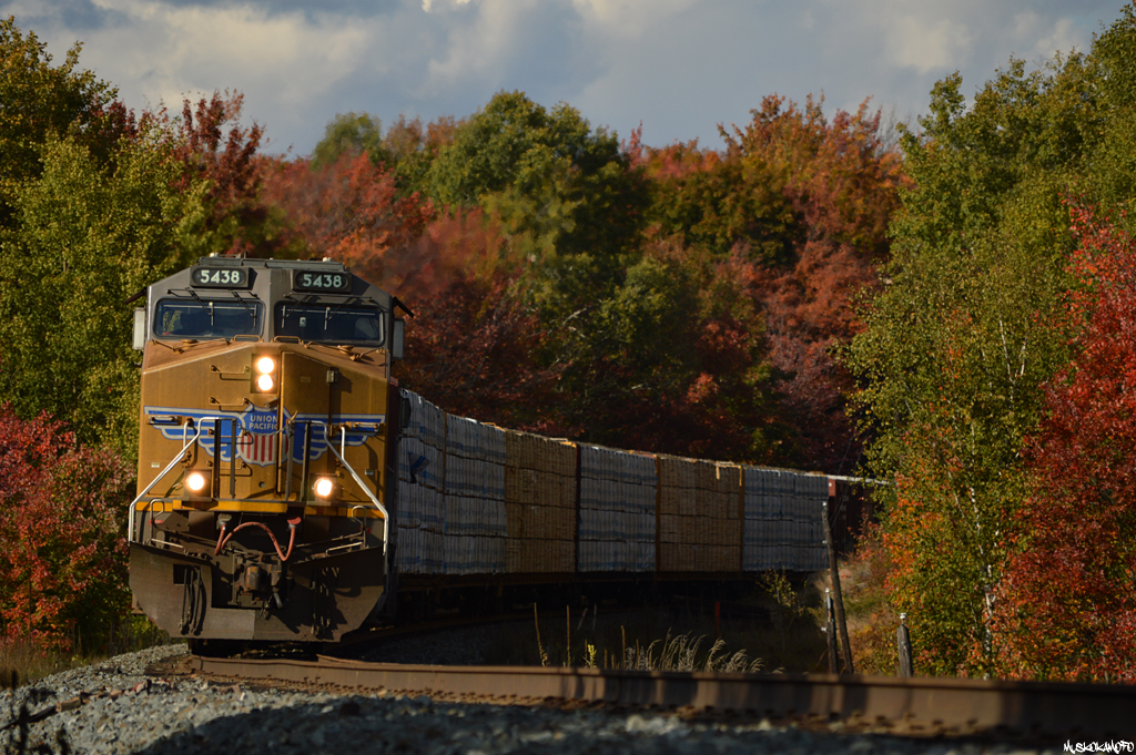 UP 5438 South creeps up to the North Siding Switch MacTier with train 420 under some vibrant fall colors. After a quick stop to line themselves into the yard, they'll pull down to the station for a fresh crew to Toronto.