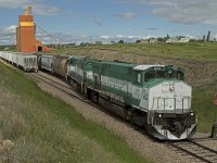 With the news of the railway placing its entire fleet of MLW M420's up for sale, time is running out for fans to catch these beasts roaming the prairies of Saskatchewan. Great Western Railway 2000 and 2001, the first MLW's purchased by the railway, lift a cut of loaded covered hoppers at the elevator in Admiral SK.