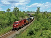 With the sun playing games with me today, I had to make a small trek to get a good sun angle and hope the clouds in the sky didn't play games with me again. Here, CP 646 with CP 8781 and CSX 875 for assistance, work the 6100 foot ethanol train down the escarpment under Highway 6 on approach to the Newman Rd. overpass on the way to Desjardins.