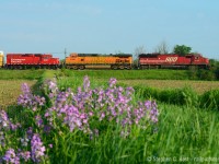 It's 0730 and you can smell the morning dew evaporating off flowers and leaves in the farmers fields of the town of Puslinch, 244 slowly creeps out of the siding and once the tail end clears, the Hogger will <a href=http://www.railpictures.ca/?attachment_id=24876 target=_blank>give 'er for the junction. (click for photo)</a><br><br>BTW - While the rain creeps in in Ontario for the next couple days - you gents on the sidelines who have been enjoying the weather and out taking a lot of photos - share a few this weekend! I'll do the same :) The same for you boys out west and east too :) We love your work too.