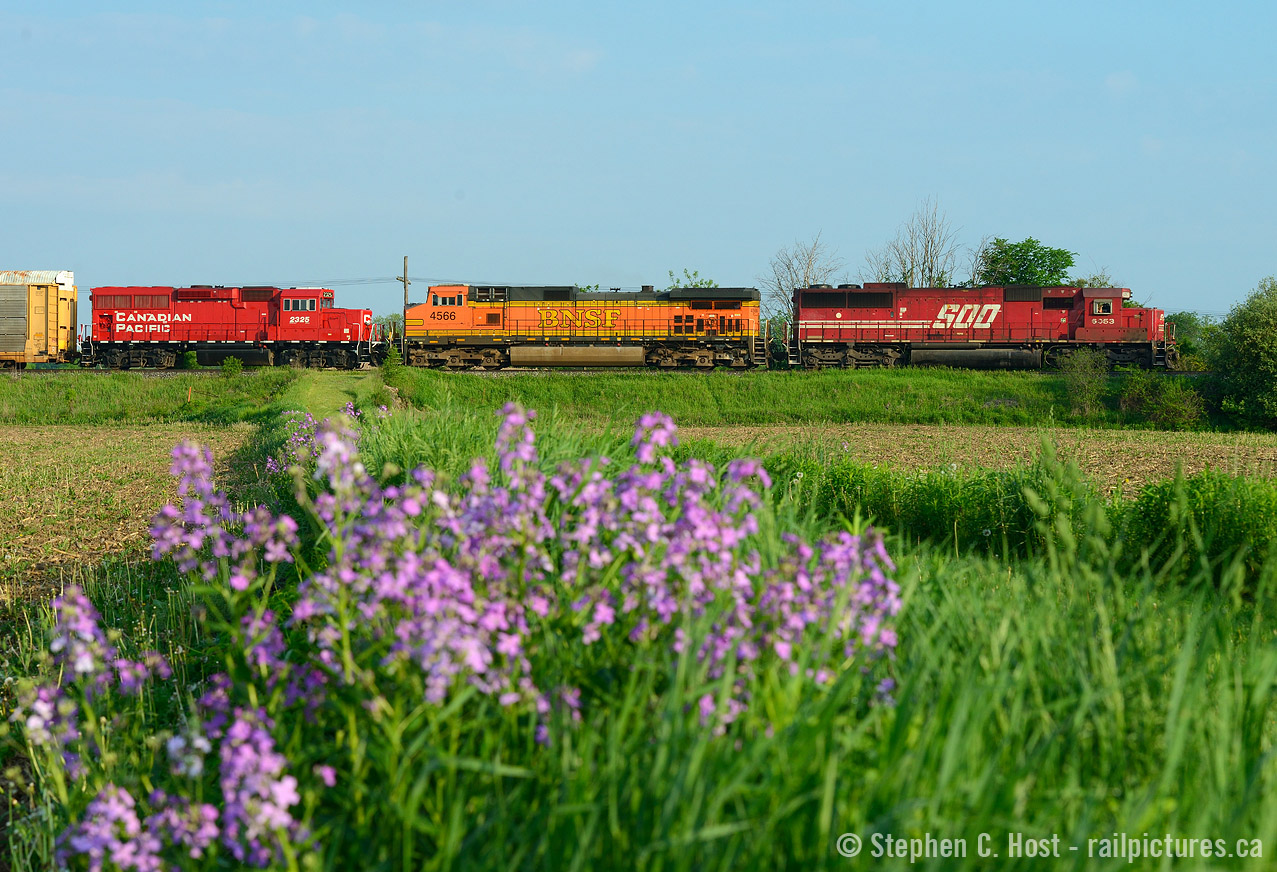 It's 0730 and you can smell the morning dew evaporating off flowers and leaves in the farmers fields of the town of Puslinch, 244 slowly creeps out of the siding and once the tail end clears, the Hogger will give 'er for the junction. (click for photo)

BTW - While the rain creeps in in Ontario for the next couple days - you gents on the sidelines enjoying the weather and out taking a lot of photos - share a few this weekend! I'll do the same :) The same for you boys out west and east too :) We love your work too.