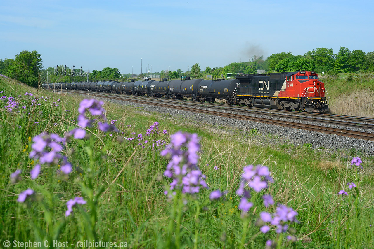 A little bit of spring - L524 arrives from London with a cut of manifest freight, tanks on the head up and one of the ex ATSF Warbonnet C40-8W's in the lead. Note for those who visit the berm, watch out for ticks - they are strong this year. You are being severely warned, DEET will be your friend and long pants. No shorts. Sadly I have my doubts it will ever get better...