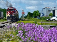 More spring.... and more smoke - can't go wrong with the MLW's on the Ontario Southland Railway. Crossing the 'Hanlon Expressway'. I 'placed' the shot with the Guelph Tool sign at top right. This spur was built in 1955 by the Guelph Junction Railway - the MTO regretted approving the railway across what as then a planned divided highway for a long long time and will finally rectify the problem by placing an overpass at one of these two crossings in the next year. The other crossing will be closed, and a new connection in the far background will be built between both GJR industrial spurs allowing GEXR/OSR continued access to customers. In 1955 GJR (through the City of Guelph) was proactive in seeing the benefit of rail access in an industrial park, and built two spurs despite not having a direct connection to them - which was not rectified until the purchase of the remains of the Guelph and Goderich Railway (from the River Run Centre to end of track) for a few million in 1997. Funny enough, the 'Guelph and Goderich' was re-organized to be under the Toronto Hamilton and Buffalo railway in STLH at the time! It would be nice to see Canadian cities be proactive in building rail access in new industrial parks.. but when was the last time that happened.




