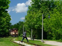 Where rails and trails meet, A hipster  crosess the tracks while the conductor ensures the safety of the movement through John Galt Park in downtown Guelph.

