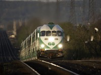 Even the pigeons fear MP40's at speed