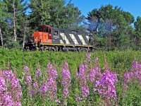 CN 595 CN, 4132 solo, southbound by Mile 138 Newmarket Sub on a beautiful summer morning. They're heading for Stepan Chemical in Longford Mills, south of Washago on the old Newmarket Spur. Stepan is reported to be closing their Longford Mills facility before the end of 2016 which will make sightings of 595 south of Martins quite rare in the future, since they'll only be venturing further south than the Panolam plant there on the few occasions a year they go to Washago to lift or set out M of W work related stuff like ballast and/or tie gondolas or maybe the odd CWR set.