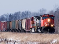 My one and only warbonnet