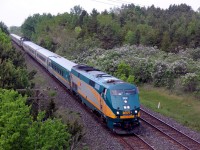 Via #62 at 11:12 AM is about to duck under the Wooler road overpass at the west end of Trenton. In the back ground the Lilac bushes are in full bloom. The incredible smell of the lilac drifts with the speed of 62s passing.