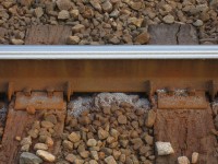 The flange squeal point. The south end of the Allandale waterfront station has a curve. Northbound trains are braking as they enter the curve in to the station, Southbound trains squeal as well. The shavings on the rail base have built up and are highlighted by the lack of rain.