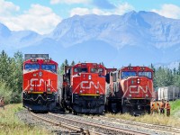 A busy morning at Swan Landing. While the angle of the sunlight could have been better, I felt it would be rude not to shoot this scene. Last year, CN extended track YB08 at Swan Landing to around 14000 feet essentially bringing the 14000 foot siding back to a true passing siding. Swan Landing tends to be a disaster most days as the junction with the Grande Cache Sub leads to a lot of switching moves with various trains swapping traffic. Before YB08 was extended, the siding was more times than not tied up with trains switching in the yard meaning there was a standoff between Hinton and Park Gate for the rest of the trains to meet. While YB08 was meant for switching purposes, it has also become an extra siding to meet trains. Case in point, Q10251 25 - CN 5760E sits in YB08, Q19251 25 - CN 8899E sits in the siding both who have been waiting in excess of an hour for the mighty Q11131 24, who's DPU CN 3041 brings up the rear.