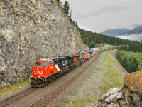 Brand new CN ET44AC 3066 joins slightly older sister 3019 to lead train Q119 into Jasper.