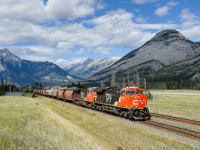 Brand new CN ET44AC 3078 and ES44DC 2228 lead G84752-22's 193 loaded grain cars west on the Edson Sub at Henry House. Mid train were ES44DC 2279 and C40-8M 2439. The train weighed in at a whopping 25060 tons and was 11706' long.