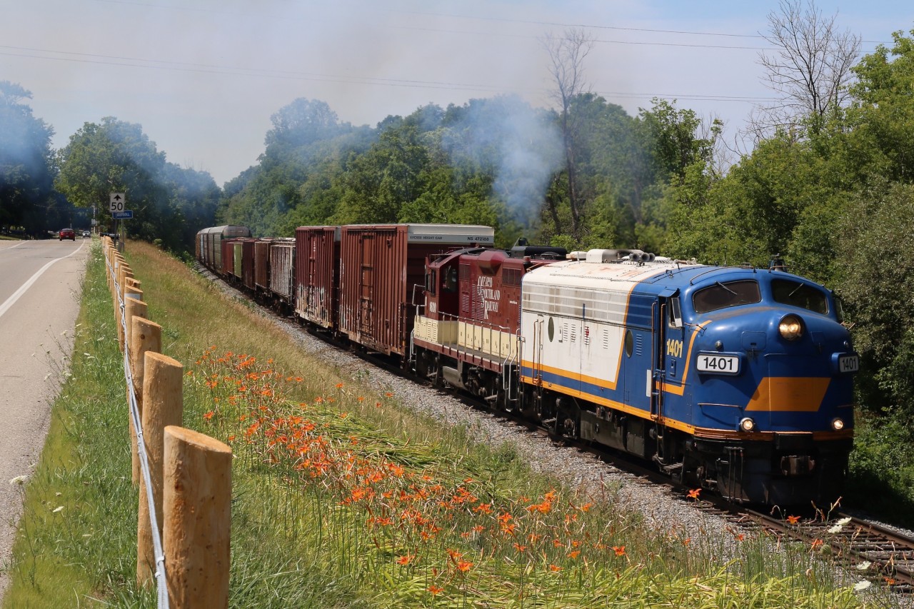 Exhaust fills the air as a pair of OSR's veteran EMD's storm out of Ingersol and up the slight grade, passing wild flowers as they head for the interchange with CP at Woodstock.