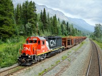 Repainted (sigh) WC GP40-2 3027 cruises west on CN's Albreda Sub between Moose Lake and Redpass with a fully loaded CWR train. They would eventually run around the south connecting track between the Robson and Albreda Sub between Lubin and Spicer before reversing to Canoe River to begin dumping rail back towards Jasper. 

In the photo they are on the north track and I am on the south track of the Albreda Sub. In the middle of us is the Redpass Exchange track which still serves as a backtrack to this day. Its main purpose back in the day was to interchange traffic between the Grand Truck Pacific and Canadian Northern. At the west end there is a switch governing movements to the north track and at the east end there is a switch governing movements to the south track.