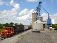 Introducing newest rail entity (2015)to utilize rail service from Southern Ontario Railway on the Hagersville Sub. Railview Investments operated by L.F. Mattice Farms & Trucking Inc. of Hagersville (Dedicated Carriers of Edible Grain)is a full service storage & trans load facility conveniently located on #33 siding (new) adjacent to SOR's main line through Hagersville. Siding #33 with a length of 1450', switch and derail was installed June 2015 and utilized initially to provide convenient inbound trans loading services (e.g. millet) to Armstrong Milling Co Ltd, Nelles Corners, ON. Incidentally, siding #33 replaces an old time, idle Grand Trunk Stock Yard siding of years past. This photo depicts the Mattice clan and Railview facility transloading wheat from truck to rail car as part of a thirty 90 ton car order. Special thanks to both Fred and Freddie Mattice for permission to photograph and be part of the track installation and first few inbound and outbound shipments. SOR tends to spot cars in conjunction with its northbound, nocturnal RLNN 597. Consequently photos in good lighting are difficult to obtain but alas I have a few, including SOR motive power and railroading events, in reasonable lighting to submit in days following. A hometown proud, success story and rewarding, interesting experience!