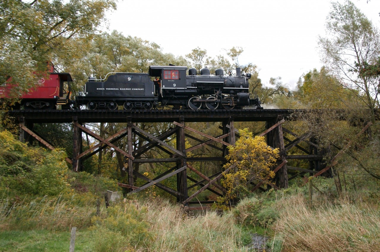 This photo brings together two iconic loves right in the heart of a productive agricultural community ... 3 for 1. Essex Terminal Railway ETR 9 with tender is seen a top the neat, wooden bridge that crosses the Brubacher Farm located just north of St Jacobs Farmer' Market & Flea Market. No. 9 is the star performer this day for a fall steam excursion running from Waterloo to St Jacobs and return. With permission, this moment with an 0-6-0 iron horse and picturesque little trestle was captured while being surrounded by several, inquisitive equine.