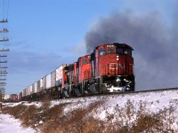 Another of the fairly regular trains through Edmonton, at the time, was the 214, a dominantly TOFC train between Vancouver and Toronto. 
