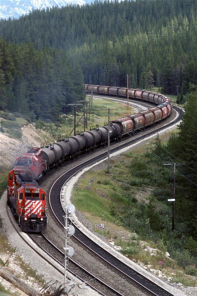 In order to show my railfan acquaintance how one can chase a train from the summit of Kicking Horse Pass all the way to Golden - the area covered by his planned guide, we decided to chase this train. The next several photos were all taken from roadside locations.
This mixed train had just about anything that was in the yard - chemicals, grain, box cars, TOFC and COFC. It is straddling the continental divide at this point.