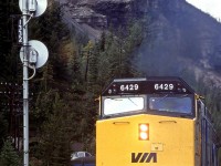 The eastbound "Canadian" has been climbing since leaving Field and is now at the west switch of Cathedral siding. The train is still occupying the small tunnel, as seen through the brush at left. Mount Stephen dominates the background.  