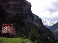 An eastbound expedited train exits the short tunnel just west of Cathedral Siding. The rest of the train rugs a ledge on the side of Cathedral Mountain. Just past where the train disappears, is a large slide area that CP has had to invest a lot of resources over the years. There is now a significant concrete slide shed to protect the ROW.