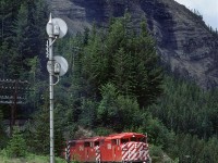 A couple of "Red Barns" lead this eastbound train up Kicking Horse Pass just west of Cathedral siding.