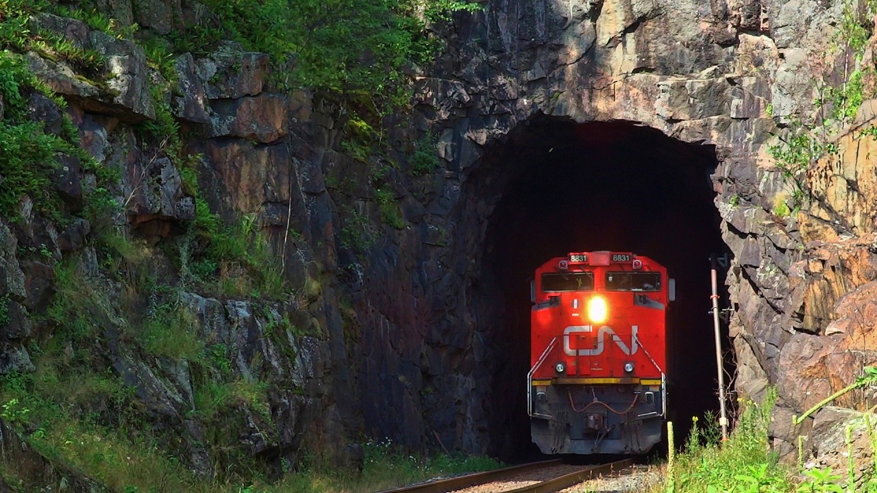 CN 8831 rockets out of the short tunnel at Ena Lake, ON on a humid August day.