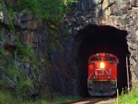 CN 8831 rockets out of the short tunnel at Ena Lake, ON on a humid August day.