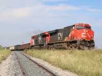 A Tier 3 and a newer Tier 4 GEVO power the days CN train 383 as it rolls past the Glass lead in Milton. The signal in the distance is for the switch at Milbase. 