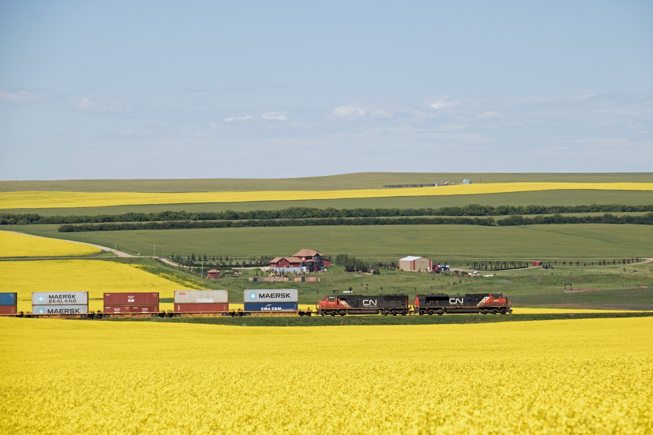 CN 8817 with 5780 pass along the bright canola fields.