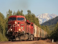 A westbound unit potash train charges into the setting spring sun. While waiting for this train to arrive a motorist at the nearby crossing was kind enough to warn of us of bears that had been spotted in the area coming down from the mountains and to be vigilant!