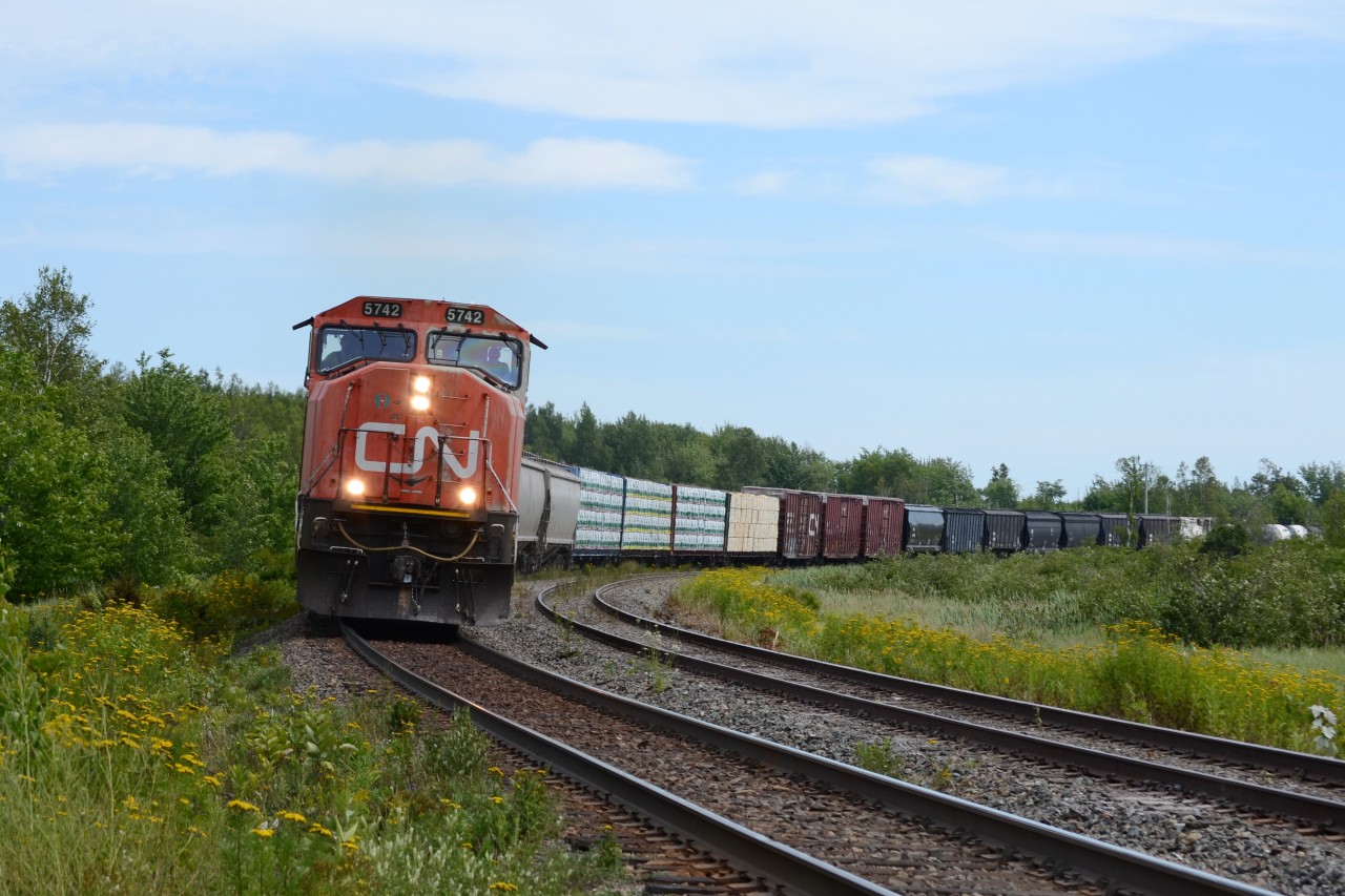 CN 5742 leads CN train 407 around the curve at Painsec Jct. Nice banked curve with a beautiful view here to take pictures of trains.